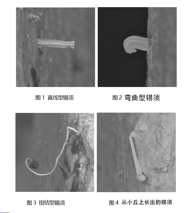 焊錫膏